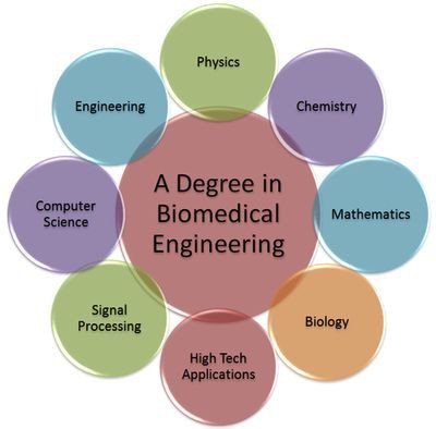 Biomedical engineering