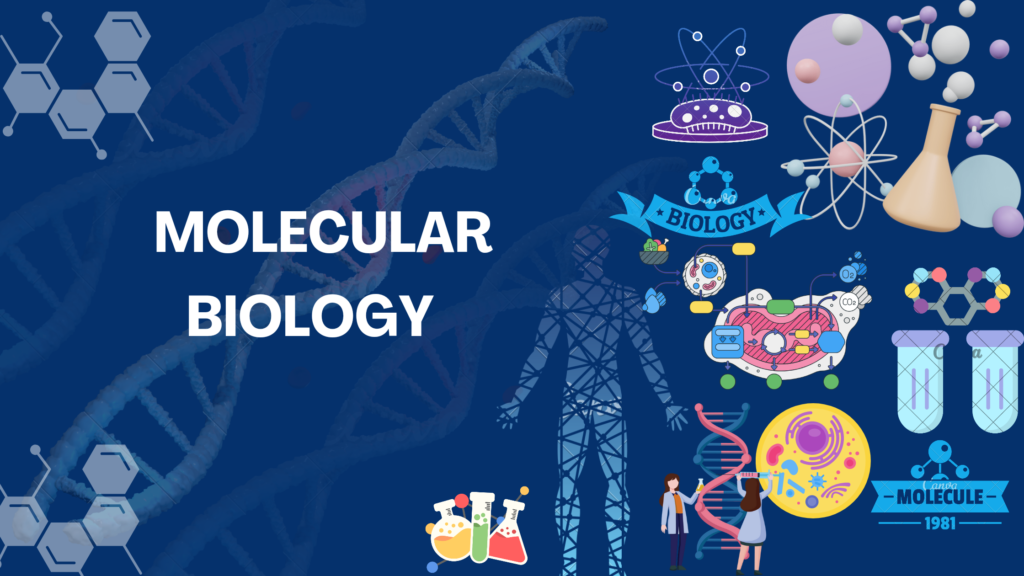 molecular biologist