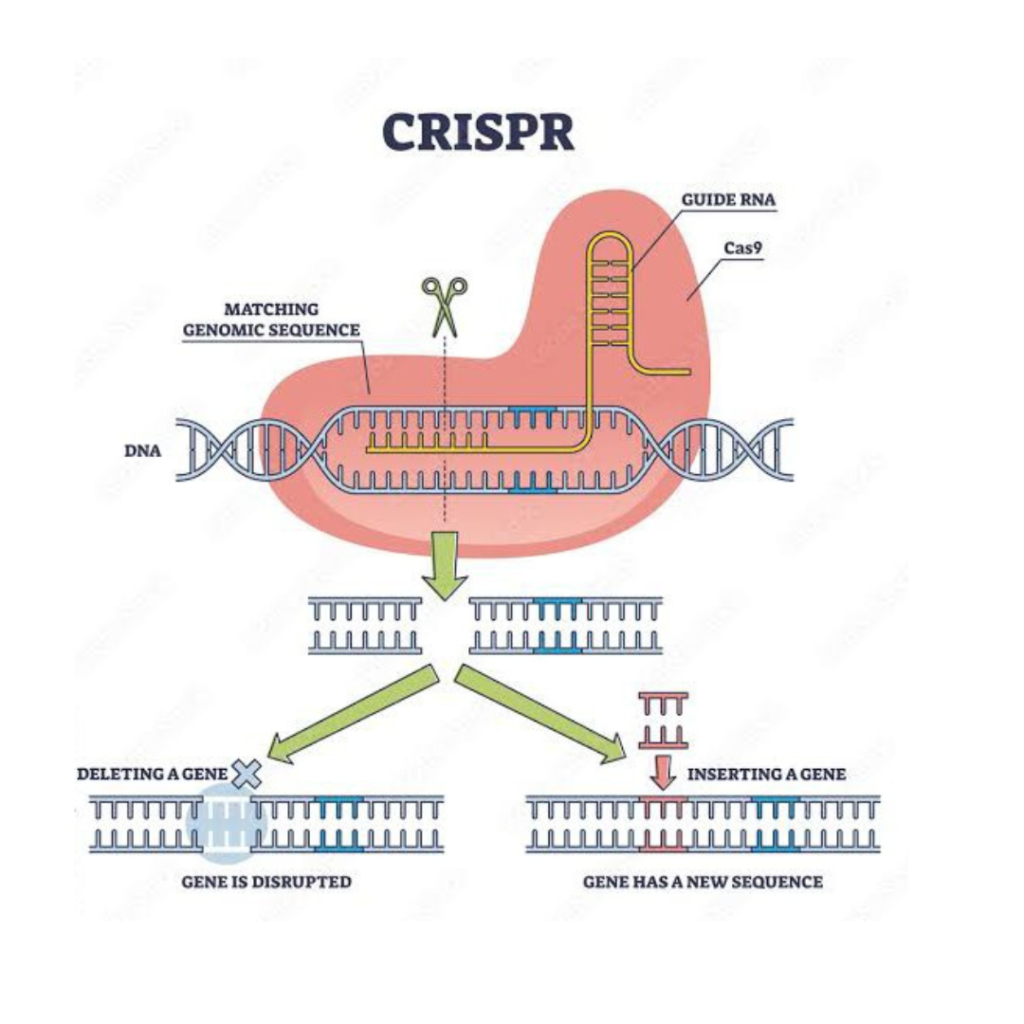 CRISPR